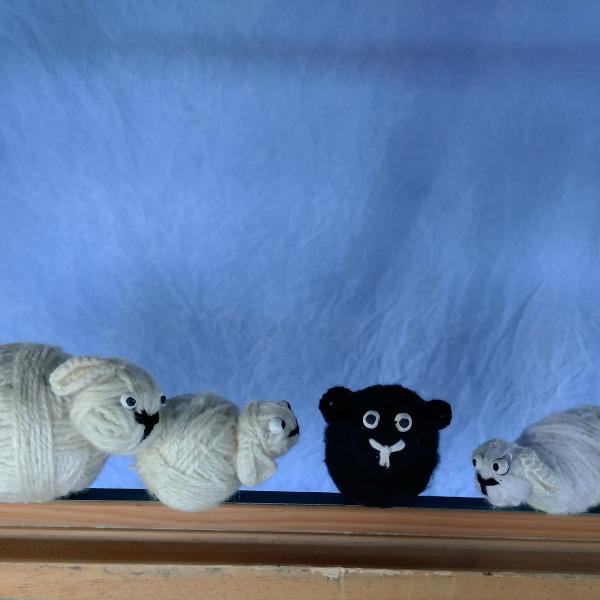 Lakritz, das kleine schwarze Schaf